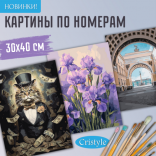 Новинки! Картины по номерам Cristyle 30 х 40 см